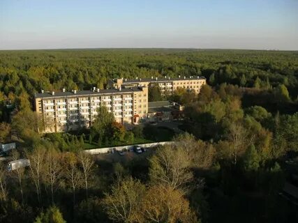 Пни 23