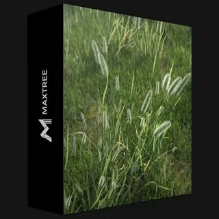 Model plant vol