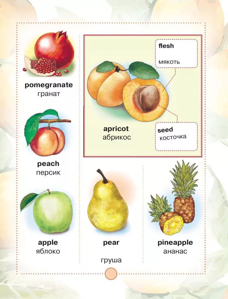 Pear транскрипция