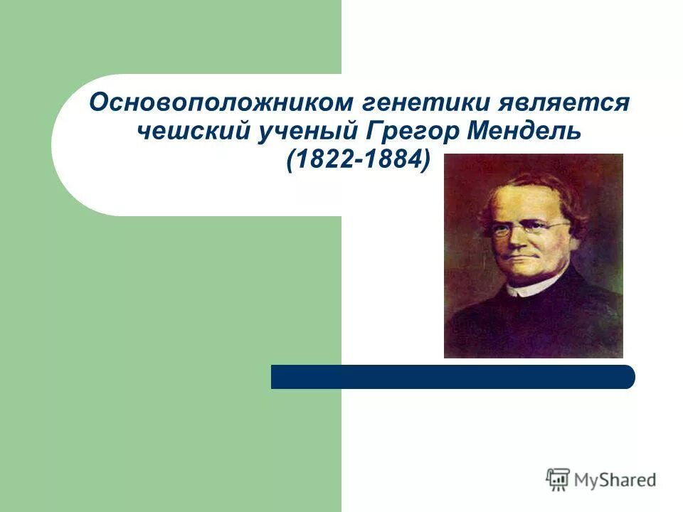Г мендель является основоположником. Ученый основатель генетики. Г мендель основоположник генетики. Г мендель является основоположником. Ученый основатель генетики.