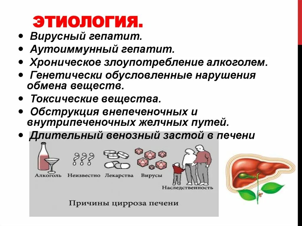 Кровь в печени причины. Этиология и патогенез вирусных гепатитов. Гепатит b этиология и патогенез. Гепатиты классификация этиология патогенез. Этиология.патогенез.классификация вирусных гепатитов..