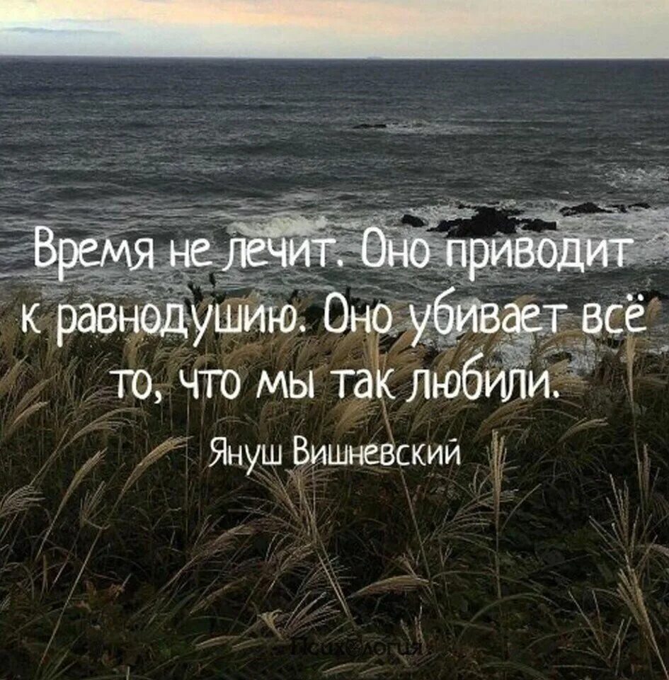 Кто сказал время лечит от боли. Время лечит цитаты. Время все лечит цитаты. Время не лечит оно приводит к равнодушию Януш Вишневский. Время не лечит цитаты.