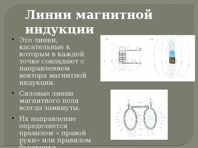 Силовые линии магнитной индукции. Линии линии магнитной индукции магнит. Линии магнитной индукции и силовые линии. Линии магнитной индукции это линии. Виды линий магнитной индукции