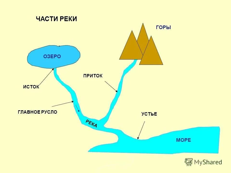 Схема реки Устье русло. Куда течет река?. Схема куда течет река. Исток реки география