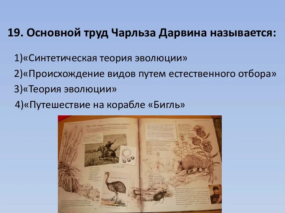 Теория дарвина тест. Основной труд Дарвина. Основные труды Чарльза Дарвина. Труды Чарльза Дарвина Эволюция. Названия трудов Чарльза Дарвина.