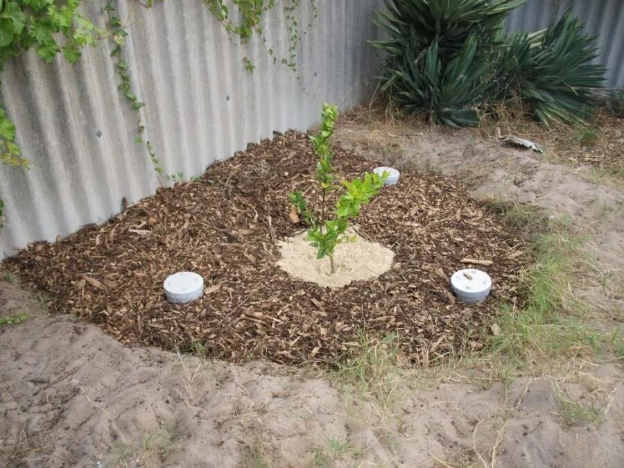 Мульчирование клумбы щепой. Мульчирование цветника корой. Бордюр standartpark kanta sp б-1000. Мульчирование клумбы щепой. Мульчирование клумбы корой лиственницы.