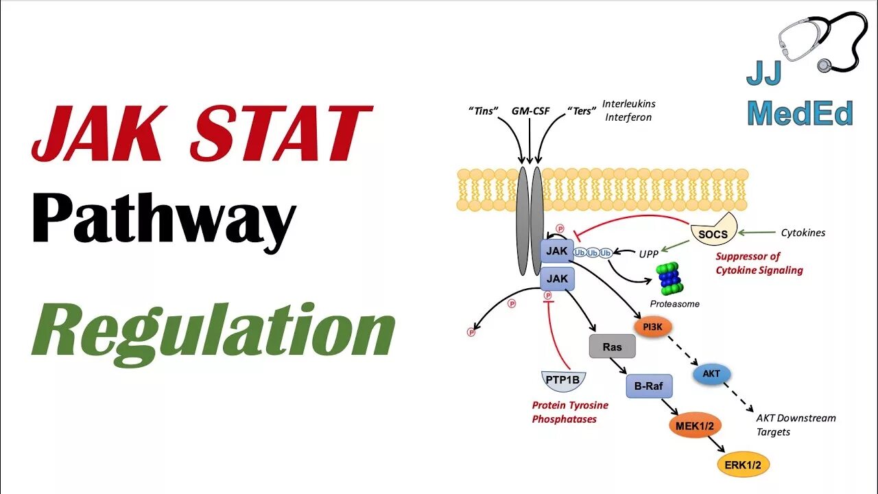 Pathways 2