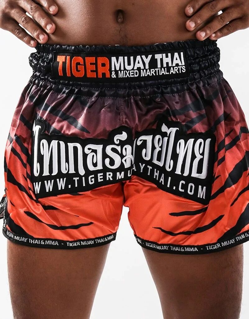 Шорты Тайгер Муай Тай. Шорты Tiger Muay Thai. Шорты ММА Тайгер Муай Тай. Tiger Muay Thai одежда. Тайгер муай