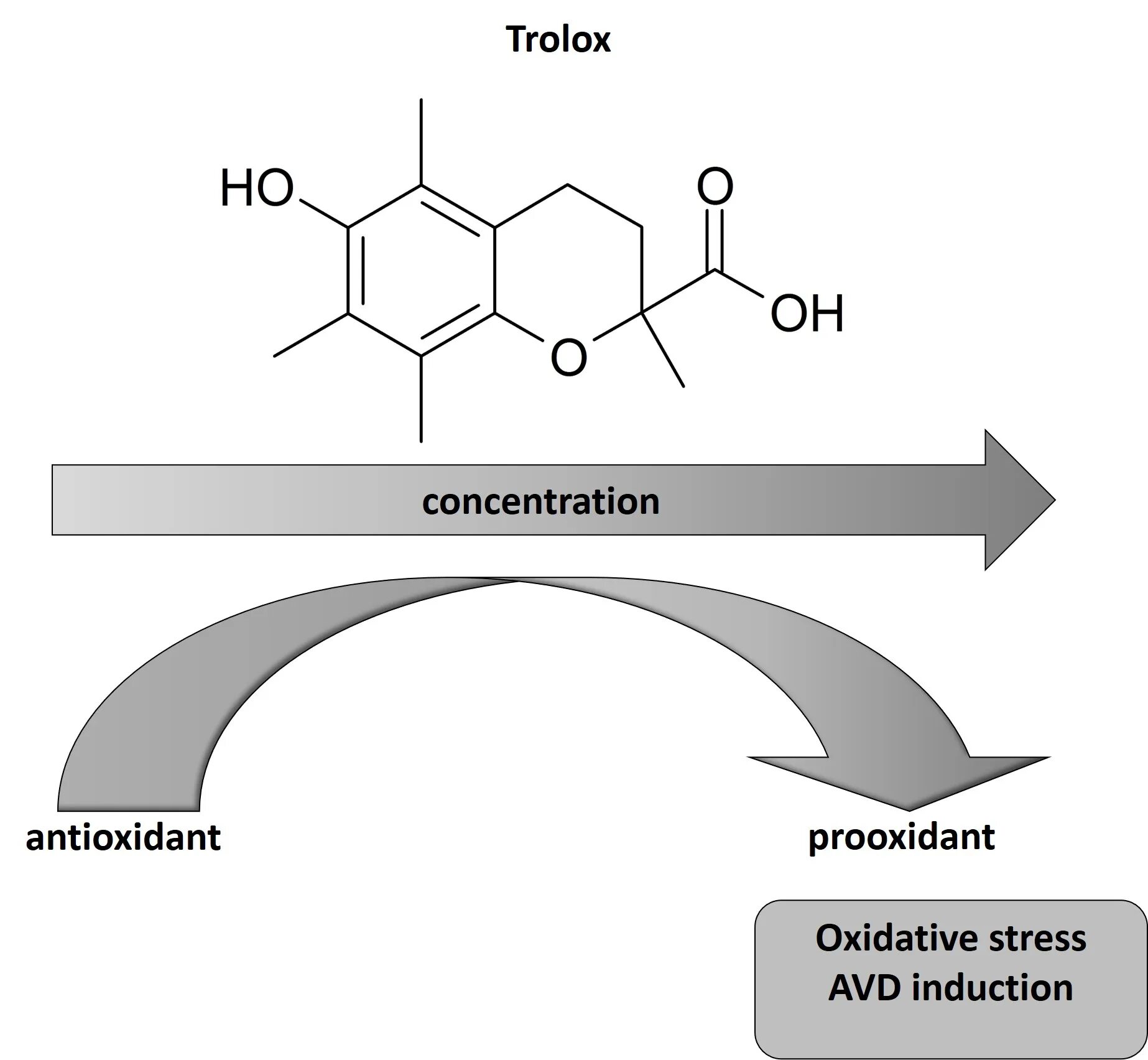 Antioxidant journal