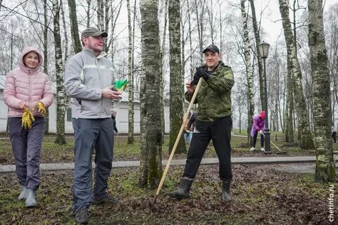 Пенсионер череповец