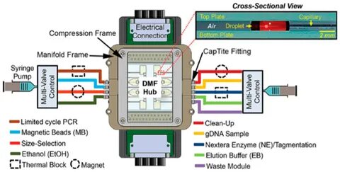 Section device