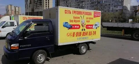 Муравей анапа