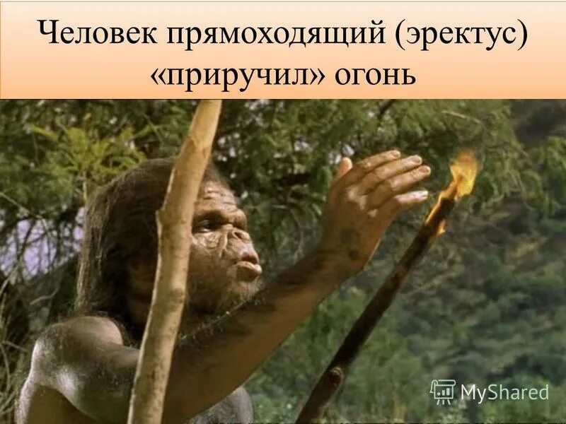человек прямоходящий огонь. древние люди. человек прямоходящий огонь. первобытные люди. человек прямоходящий homo erectus.