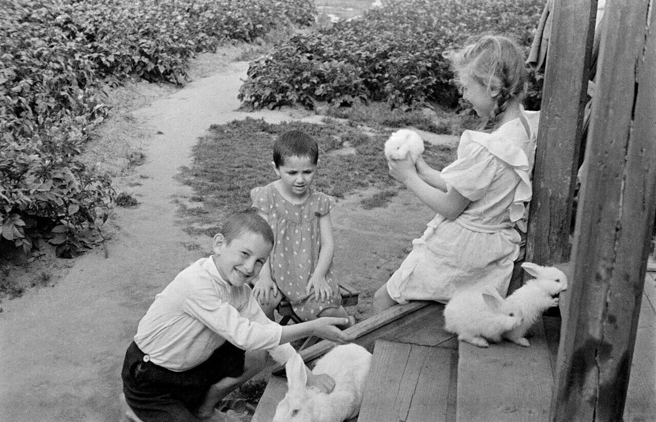 Счастливое советское детство. Счастливые советские дети. Счастливое довоенное детство. Дети довоенного времени.