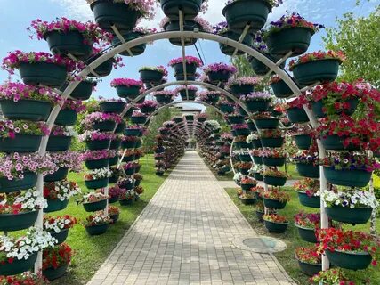 Цветочный парк грозный