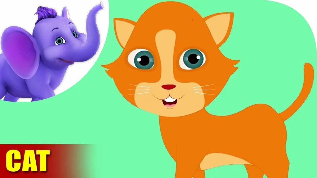 Nursery Rhymes Cat. APPUSERIES Squirrel. Nursery Rhymes animal. Хинди кошка.