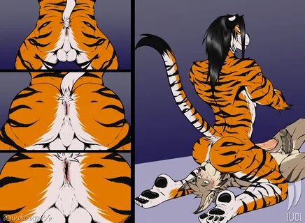 Safarri tigerxxx