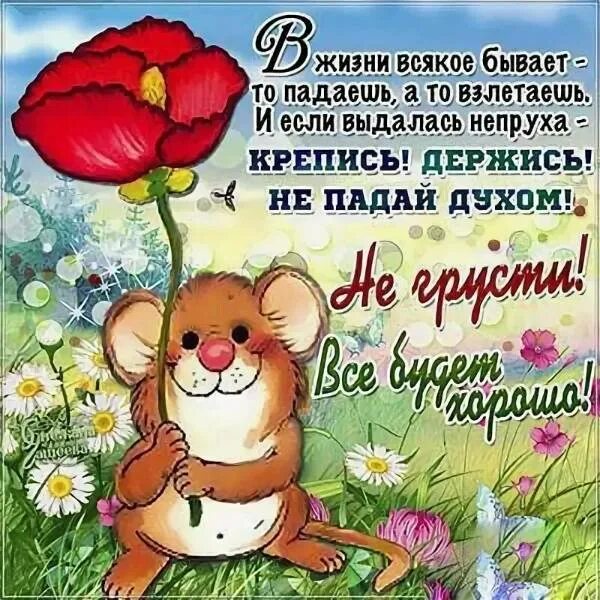 Желаю жить не унывать