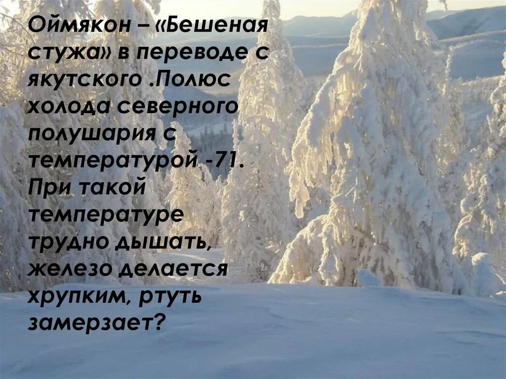 Полюсом холода в северном полушарии является оймякон. Полюс холода северного полушария. полюс холода средней сибири.