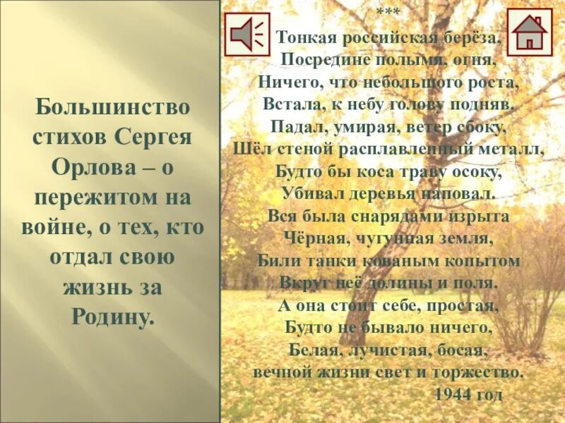 Береза стих о войне. Стихотворение про березу военное. Стихи о войне и природе. Стихотворение белая береза я помню ранила березу