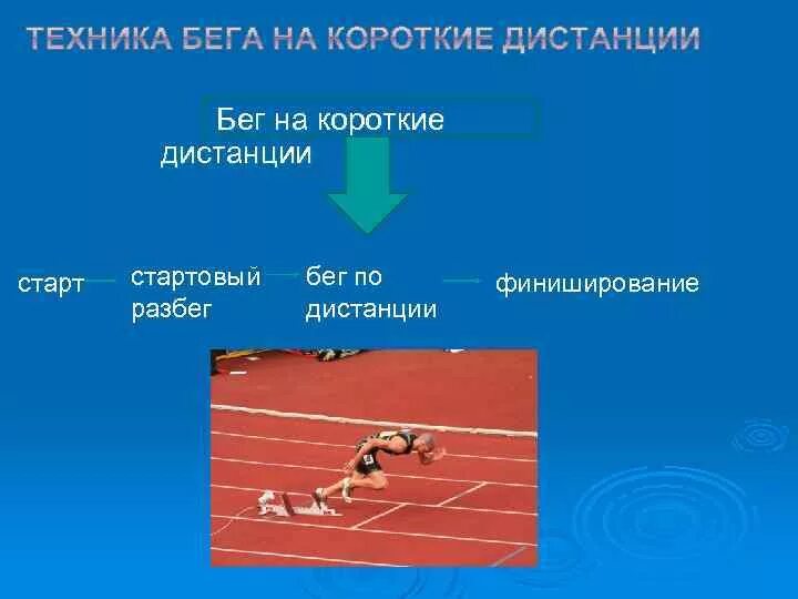 Методика обучения технике прыжка в длину способом ножницы. Бег на короткие дистанции 6 букв. Бег на короткие дистанции. Стартовый разбег на короткие дистанции. Этапы техники бега на короткие дистанции.