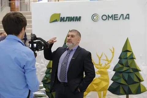 Директор группы илим