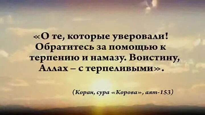 А обращаются за помощью к. Обращайтесь за помощью к терпению и намазу. обратись к терпению и намазу. обратитесь к терпению и намазу.