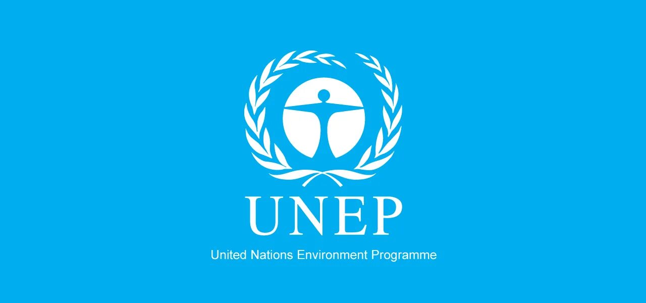 Юнеп оон. United Nations environment programme (UNEP). Организация ООН по охране окружающей среды (ЮНЕП). Программа ООН по окружающей среде эмблема. Программа ООН по окружающей среде (ЮНЕП).