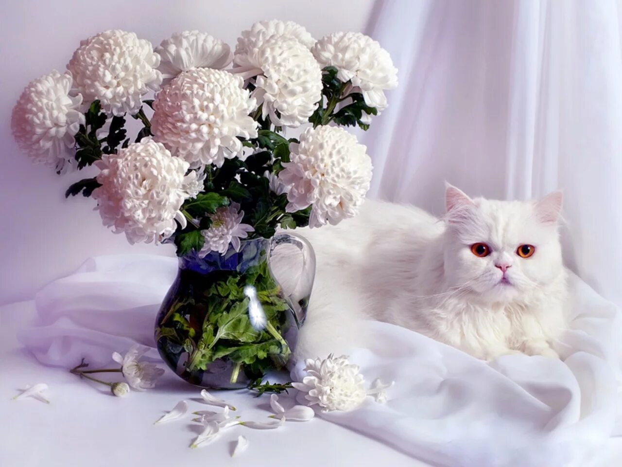 Доброе утро белая. Котенок в цветах. Кошка с букетиком. Котик с цветочком. Кот с букетом цветов.