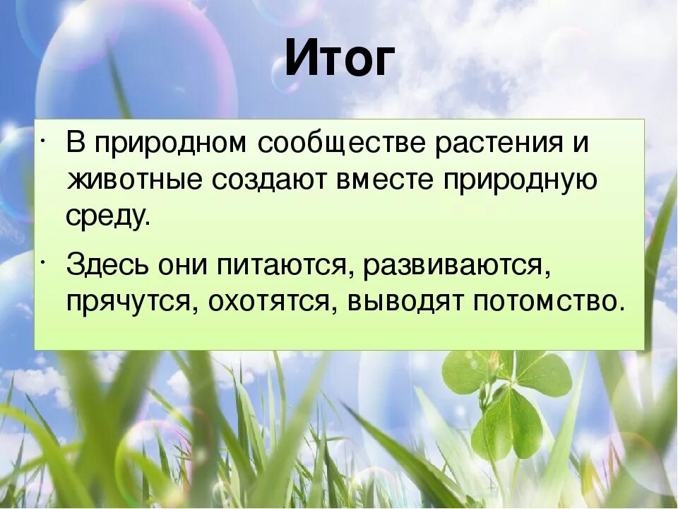 Природное сообщество образуют. Природные сообщества. Природное сообщество окружающий мир. Презентация на тему природные сообщества. Природное сообщество вывод.