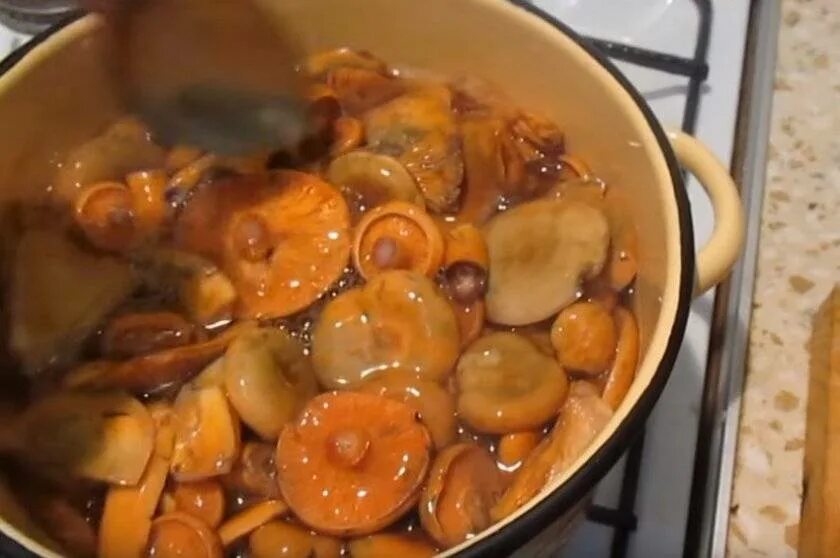 Волнушки соленые. Грузди соленые горячим способом. Как солить грибы холодным способом в кастрюле. Грузди черные соленые. Грузди соленые холодным способом.