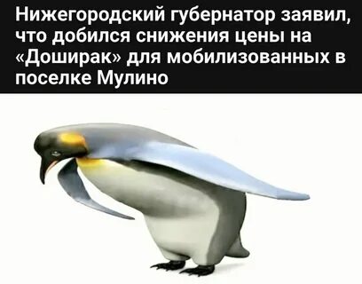 Мем со звуком 2022 Артем Шабардин ВКонтакте