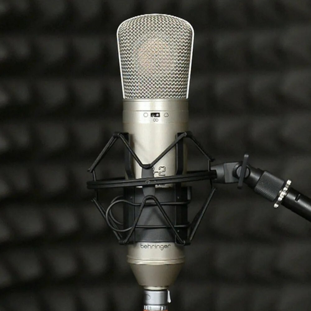 Behringer b2. Микрофон ldf330. Микрофон студийный behringer b2. Микрофон behringer b-1. Октава мк-319.