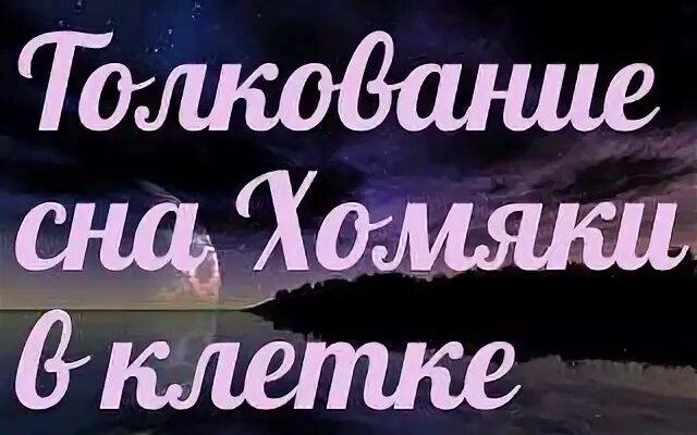 Хомяк во сне для женщины