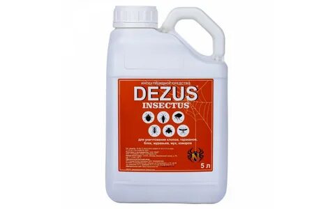 Лучшее средство уничтожения клопов dezus