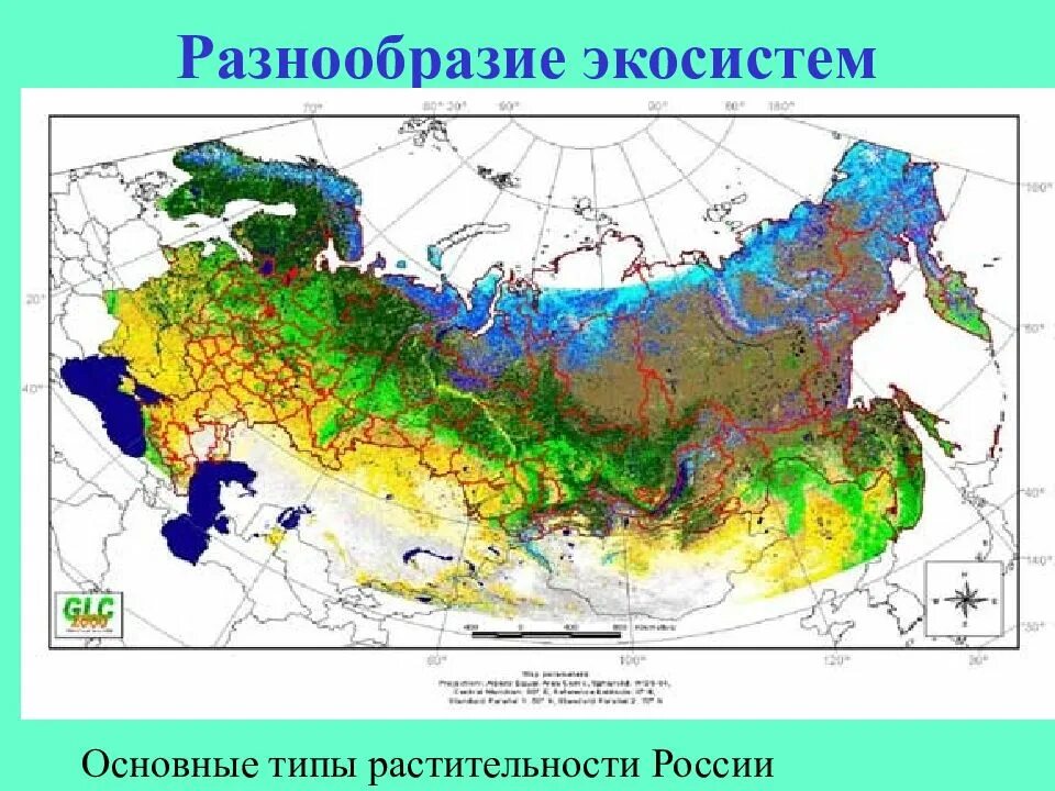 Растительная карта россии. Экосистемы России. Разнообразие экосистем. Карта экосистем. Карта экосистем России.