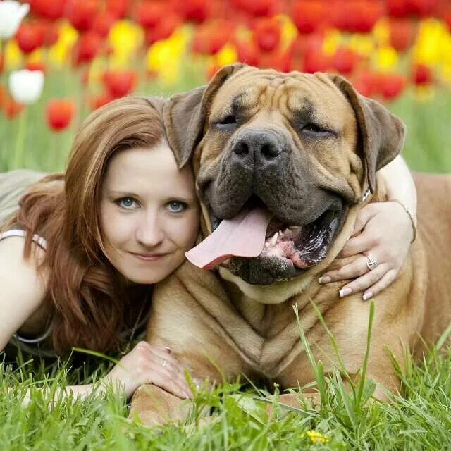 Новиолис питомник чихуахуа официальный сайт москва. Вичугский приют для собак. Приют для собак. Русино клин питомники собак. Питомник мопсов велюрс де офри.