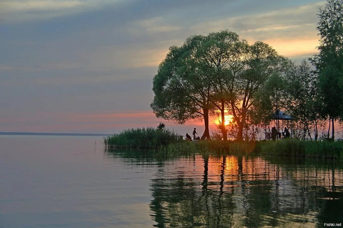 Плещеево озеро ярославская. Плещеево озеро Переславль Залесский. Парк Плещеево озеро Переславль Залесский. Плещеево озеро национальный парк. Переславль Залесский озера Плещеева.