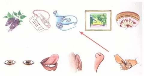 Тегін порно жүктеп алыңыз