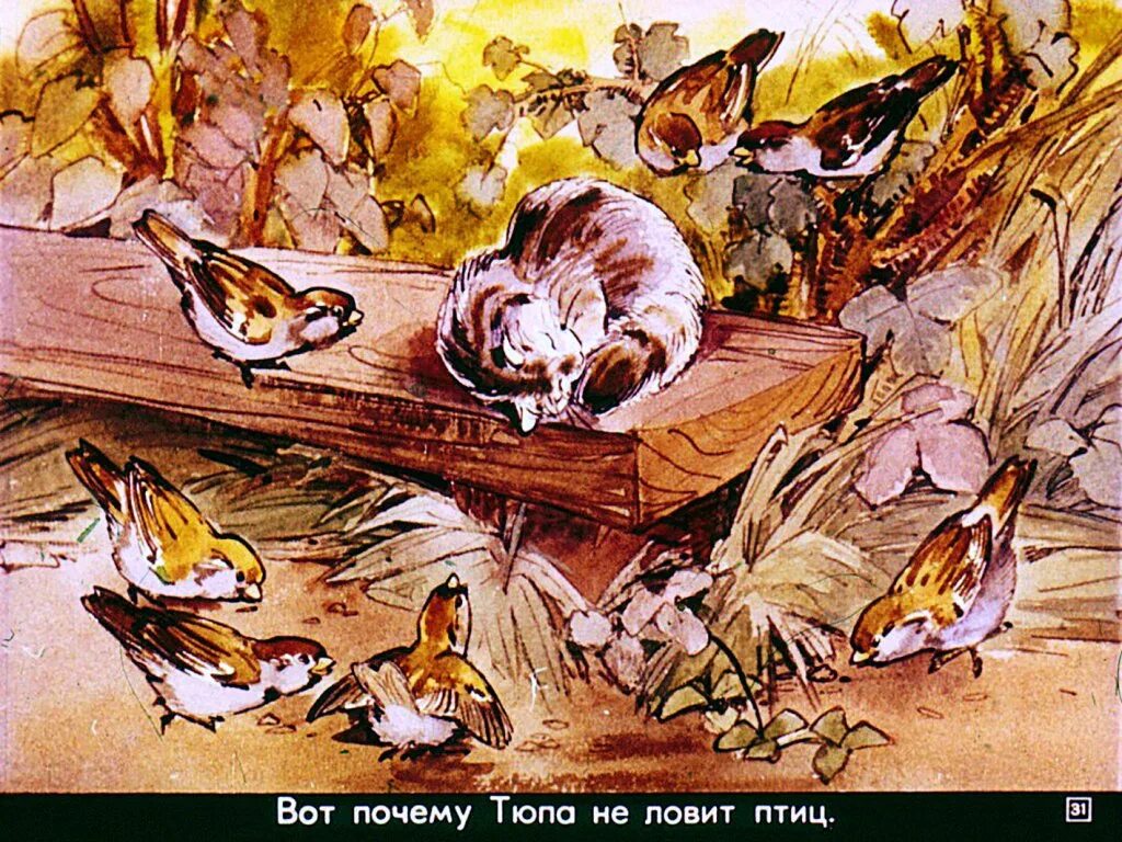 Почему тюпа не ловит птиц. Чарушин птенцы. евгений иванович чарушин пунька и птицы. почему тюпа не ловит птиц иллюстрации. чарушин диафильм.