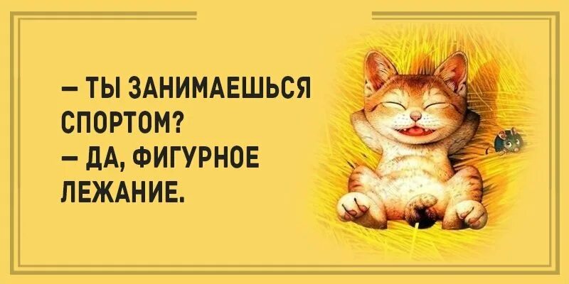 Анекдот про зарядку. Утренняя зарядка юмор. зарядка прикол. шутки про зарядку. юмор про зарядку по утрам.
