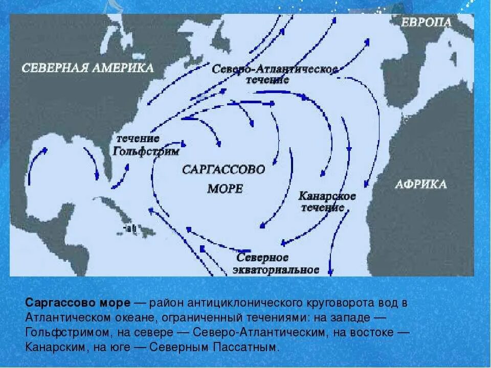 Течения в морях и океанах. Саргассово море на карте Атлантического океана. Северо атлантическое течение на карте океанов. Карта морей Саргассово море. Саргассово море расположение на карте.