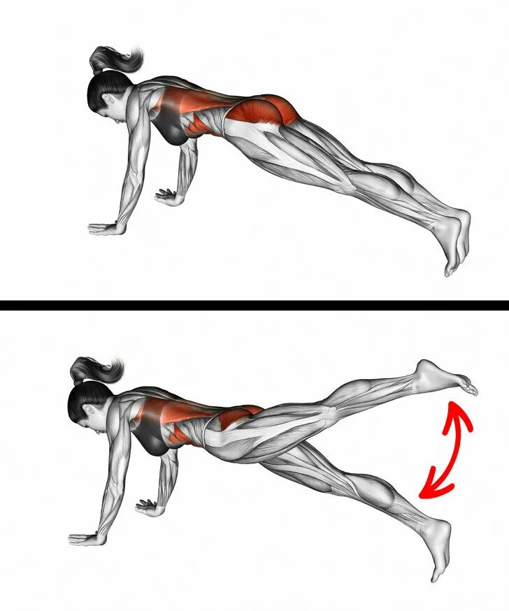 Отжимания на пресс. Планка мышцы. Боковая планка мышцы. Планка группы мышц. Планка упражнение мышцы.