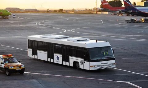 Автобус 176 спб