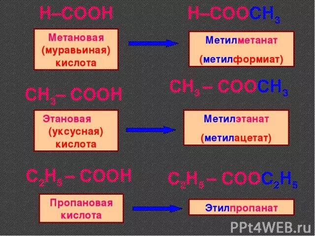 Метановая муравьиная кислота. Метановая кислота + метановая к-та. Метилацетат в муравьиную кислоту. Метановая кислота взаимодействует с. Пропановая кислота уксусная кислота реакция