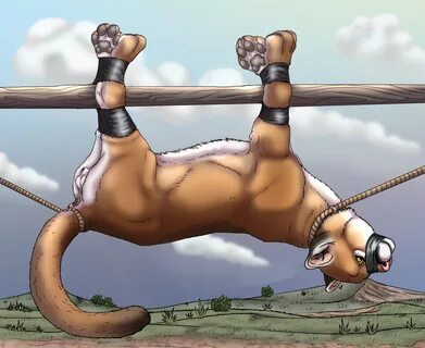 hi res, animal genitalia, anus, bondage, bound, cougar, domestic cat, felid...