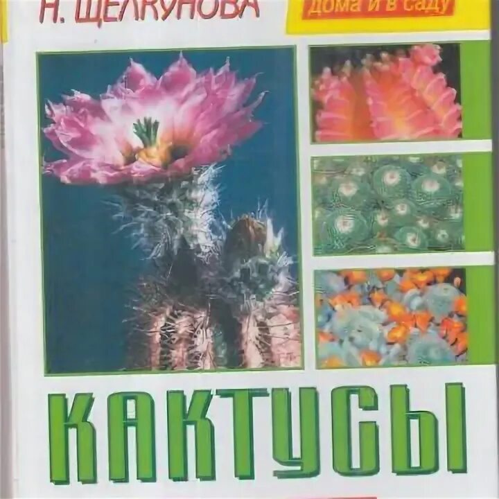 Книга про кактусы. Книга про кактусы. Иллюстрированная энциклопедия кактусы. Иллюстрированная энциклопедия кактусы. Книги про кактусы.