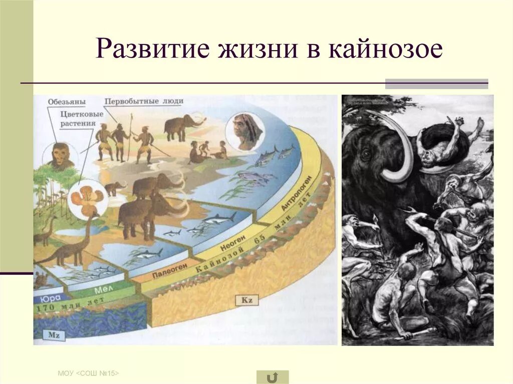 Развитие жизни сегодня. История развития жизни. Развитие жизни. Развитие жизни на земле. Эволюция жизни на земле.