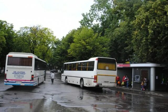 Автобусная станция Зеленоградск. Зеленоградск автовокзал. Автовокзал «Зеленоградск, автовокзал». Город Зеленоградск автостанция 2023.