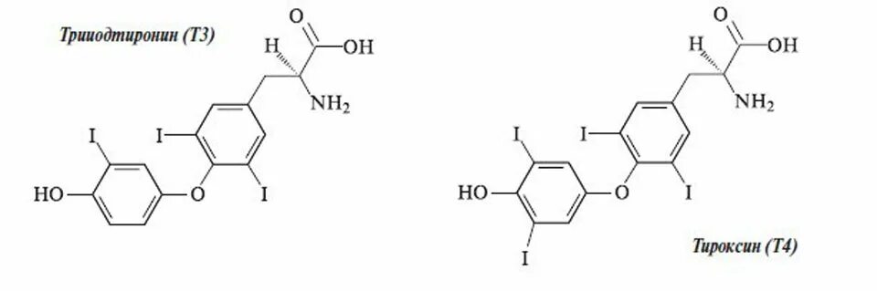 Тироксин гормон строение. Т3 и т4 гормоны формулы. Тироксин и трийодтиронин строение. Гормон т3 строение.